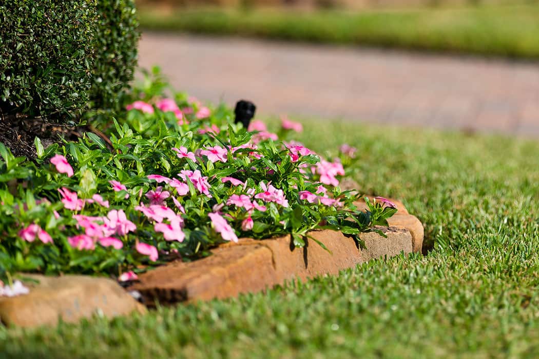 picture showing flower bed on a lawn blog 3