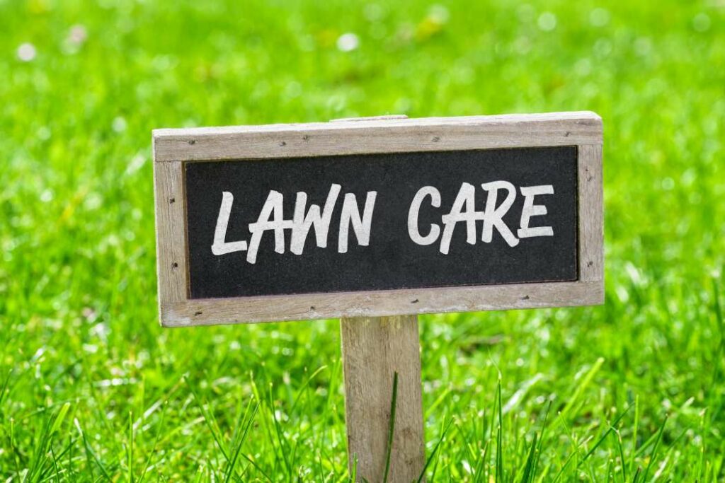 Early Spring Weed & Feed Lawn Care Tips