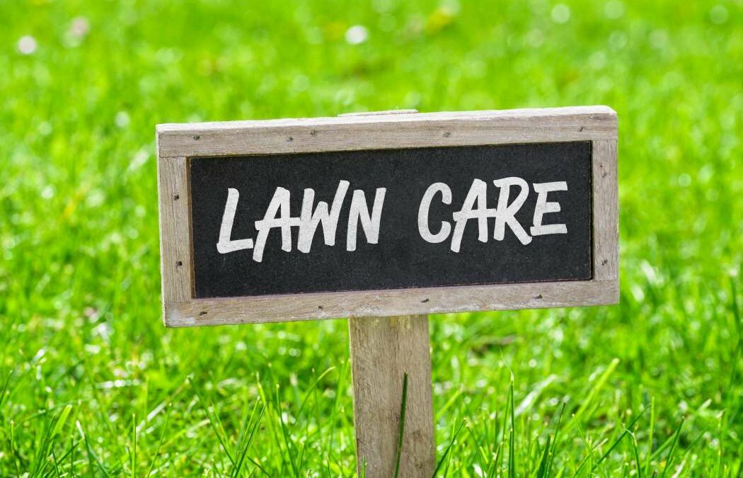 Early Spring Weed & Feed Lawn Care Tips