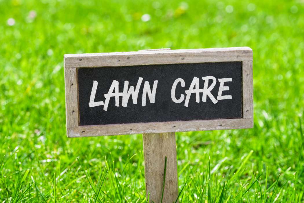 Lawn Care: tips about early spring