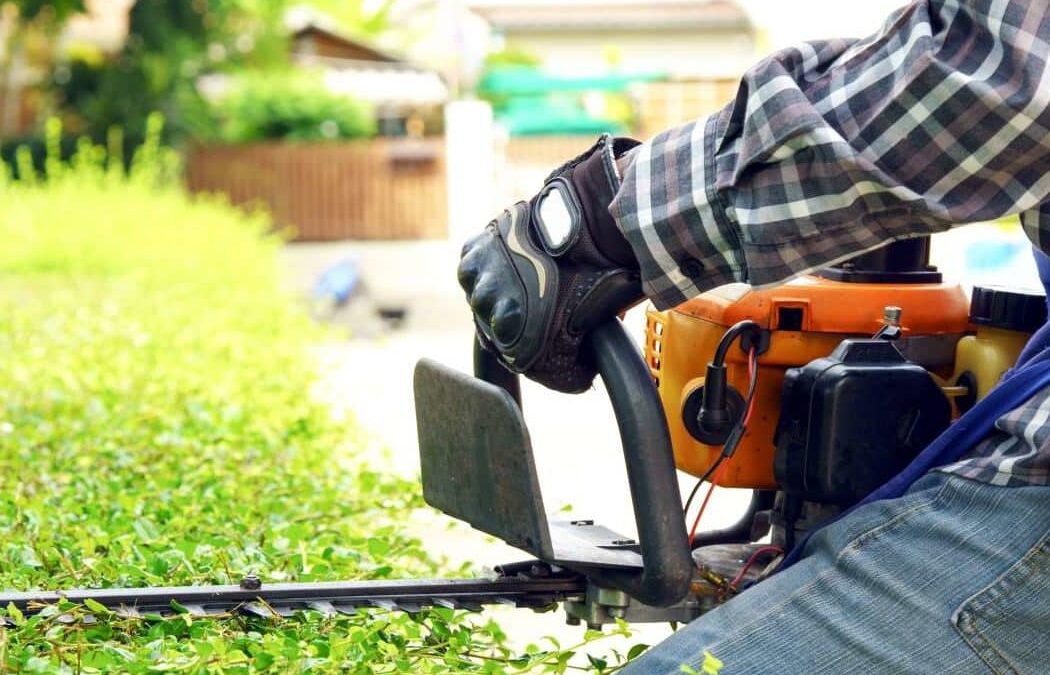 7 Signs You Need Professional Lawn Care Service