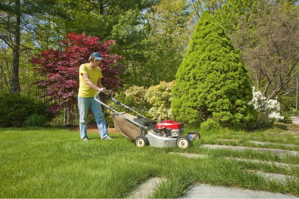 Why Get Professional Lawn Care Service for Dad?