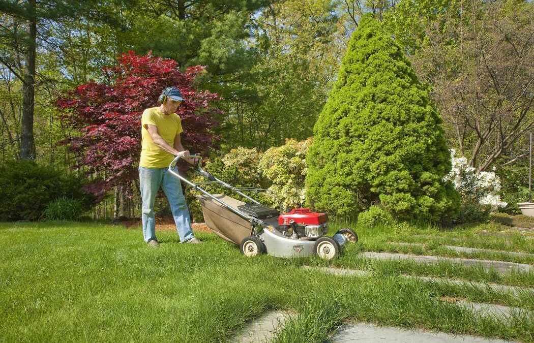Why Get Professional Lawn Care Service for Dad?