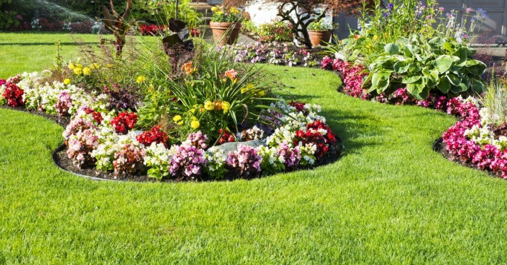 Three Most Elegant Spring and Summer Landscaping Flowers