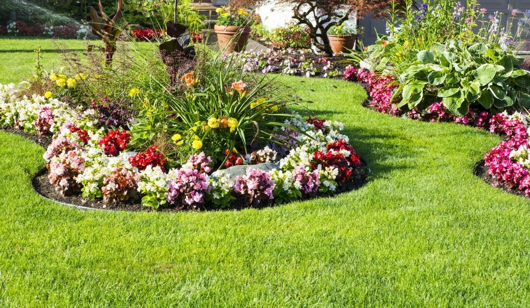 Three Most Elegant Spring and Summer Landscaping Flowers