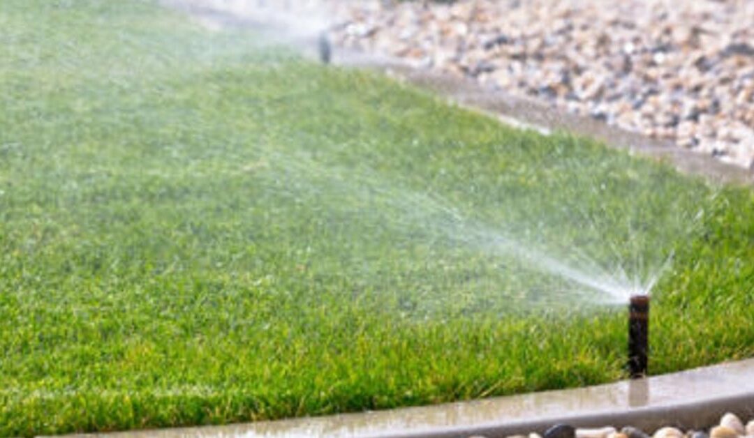 How to Water Your Lawn Efficiently: Lawn Care Cypress, TX Experts’ Tips