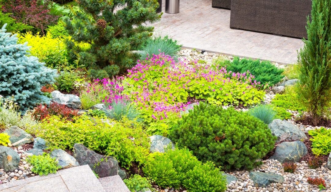 Find Inspiration at Home with Backyard Landscaping