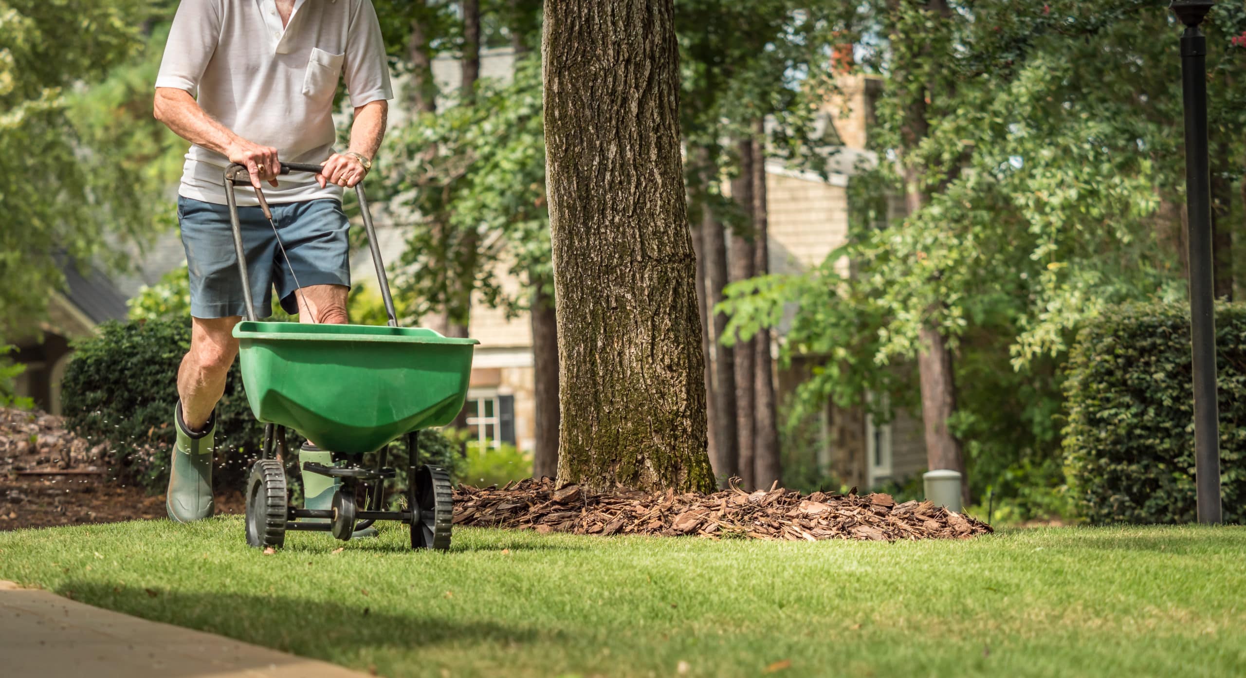 man using wheelbarrow to fertilize his lawn