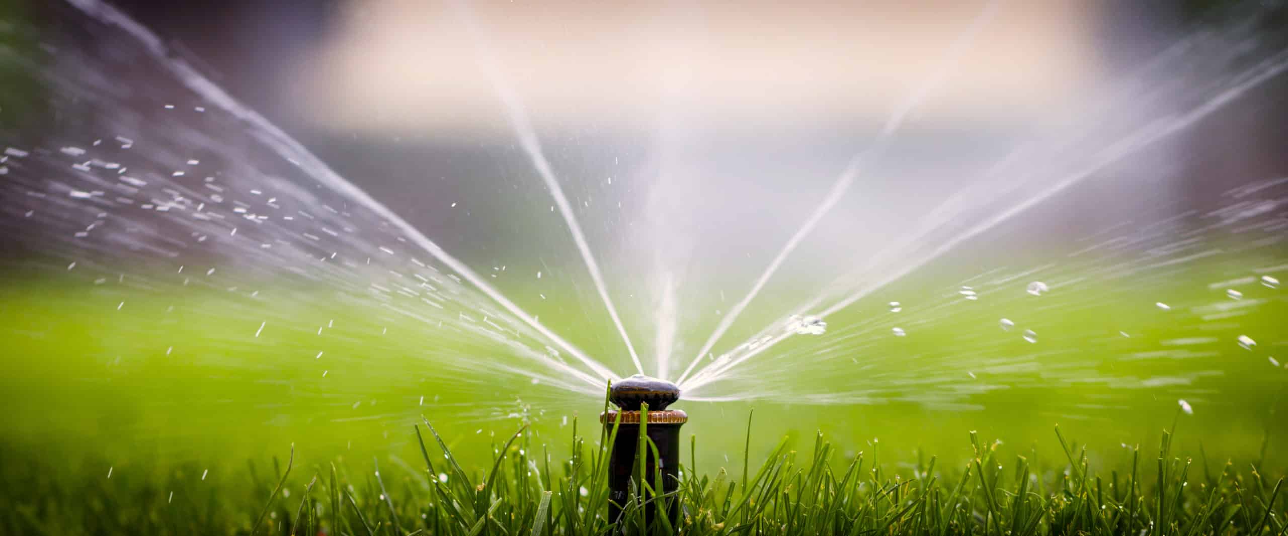 Sprinklers can help with watering and overall lawn care.