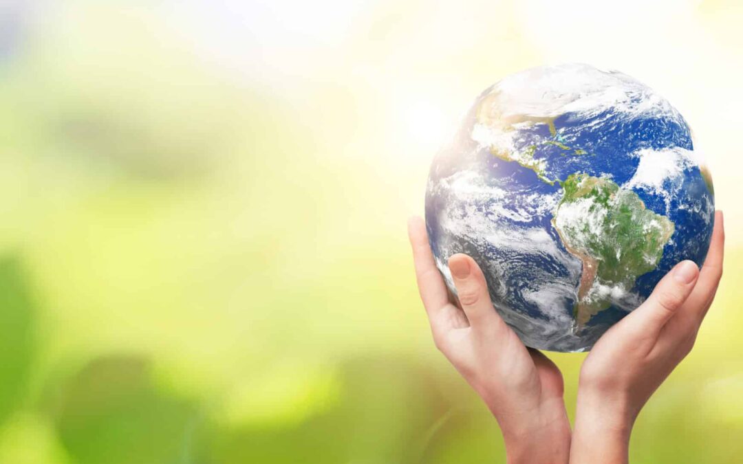 Simple, Fun and Effective Ways to Celebrate World Environment Day