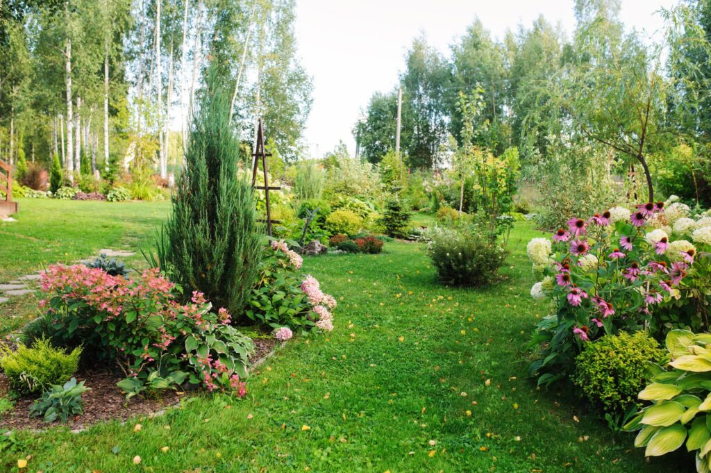 Benefits of Professional Landscaping This Summer