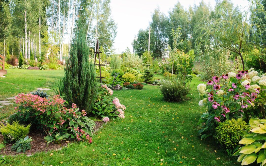 Benefits of Professional Landscaping This Summer