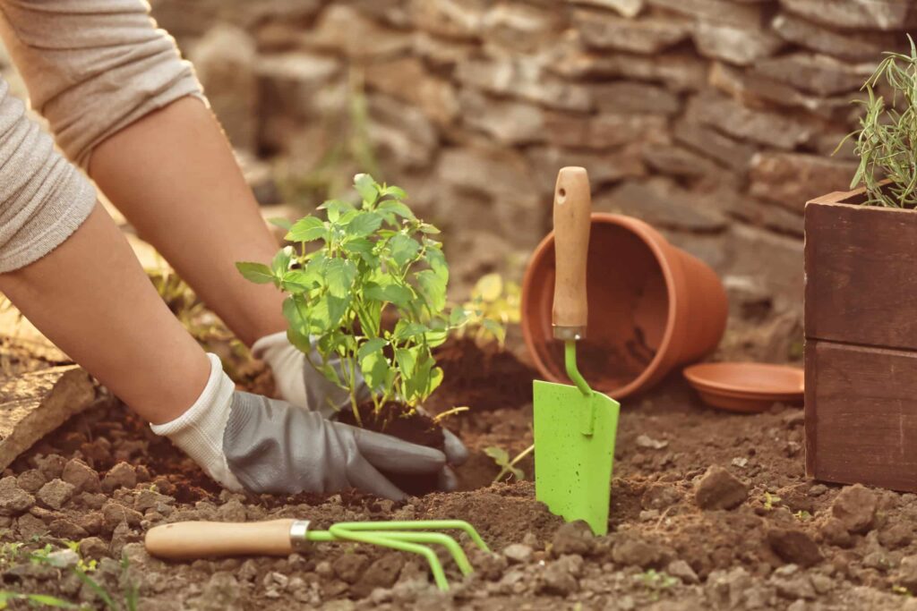 Spring has Sprung: Landscaping Tips for the New Season