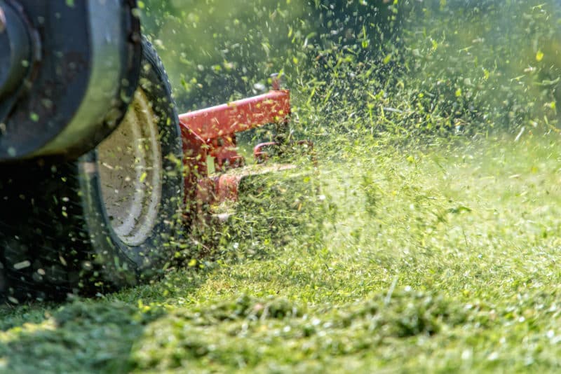 Tips for Mowing Your Lawn
