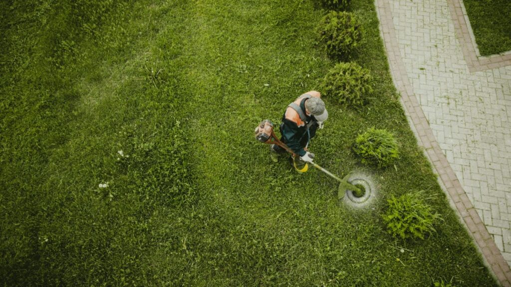 7 Ways Local Landscaping Services Can Save Lawns and Time