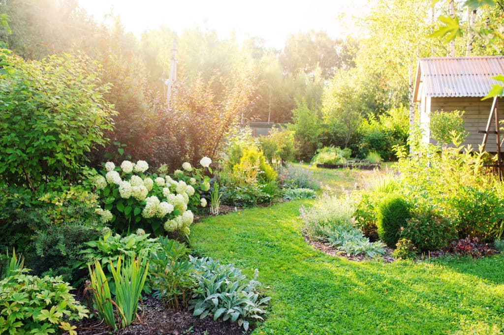 professional landscaping in summer