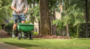 Summer Landscaping