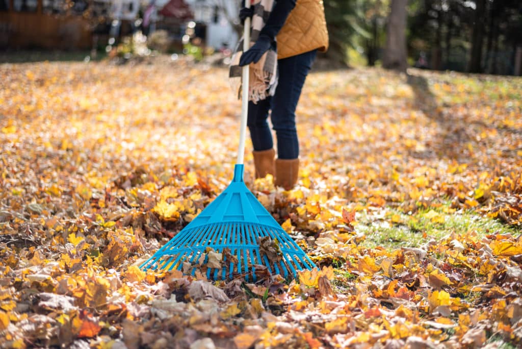 landscaping tips