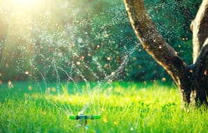 Watering is essential to a successful lawn care program.