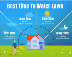 best time to water