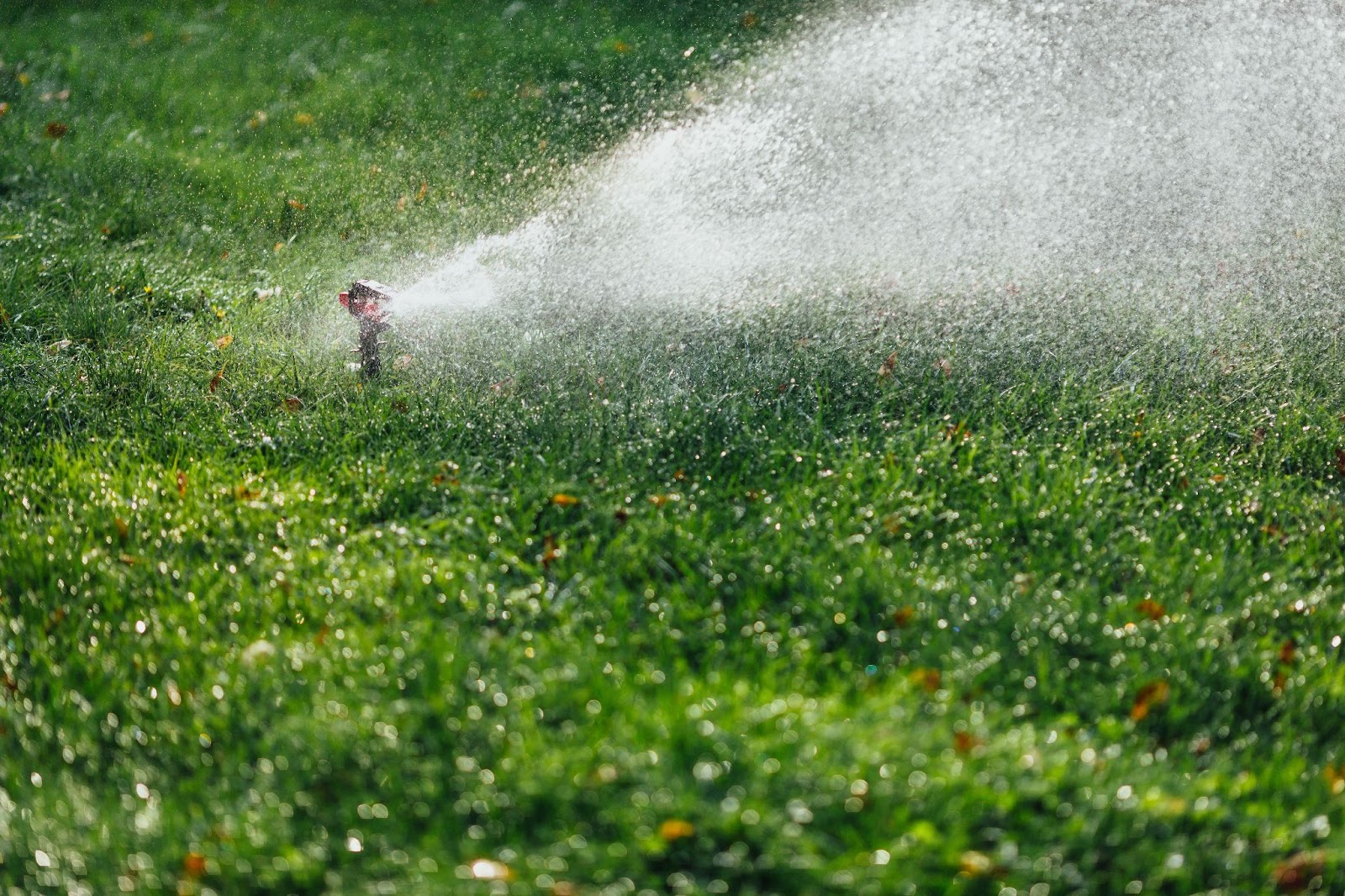 Why Maintaining an Irrigation Schedule is Crucial for a Healthy Lawn