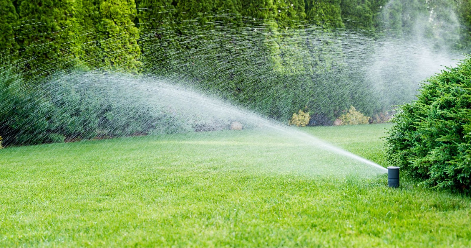 The Basics of Lawn Irrigation