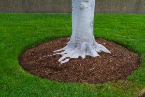 Quality Mulch for Lawn Maintenance