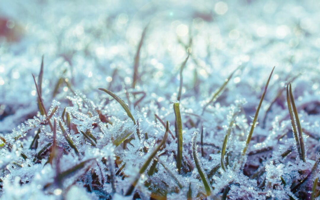 Winterize your irrigation system to avoid costly damage