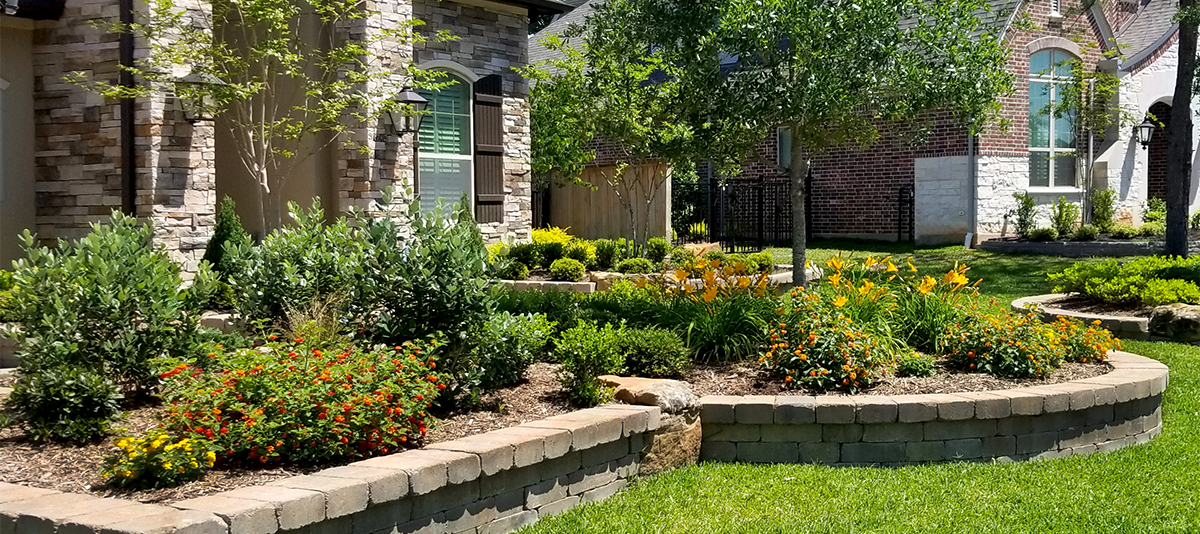 Backyard Landscaping Ideas in Texas: Five Plants to Add Color to Your Landscaping